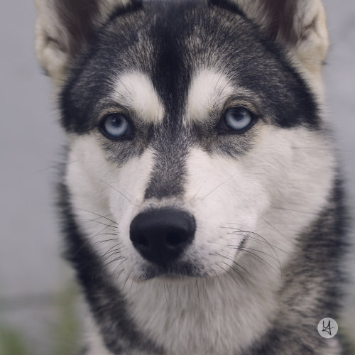 faces of our community